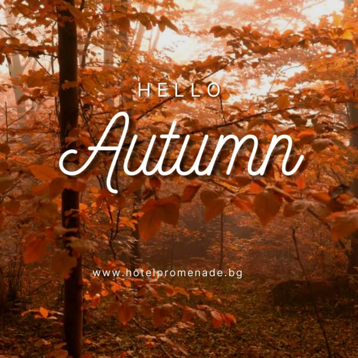 ПАКЕТ "ЕСЕН"